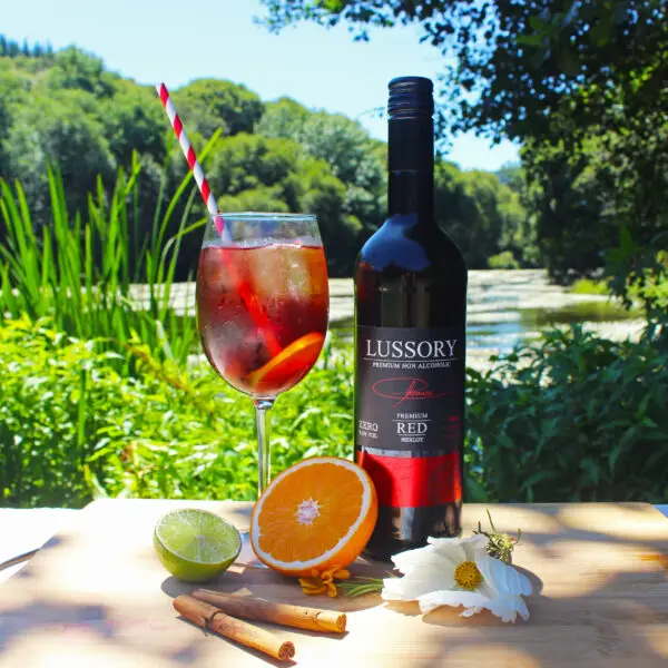 LUSSORY PREMIUM Red Merlot - Image 3