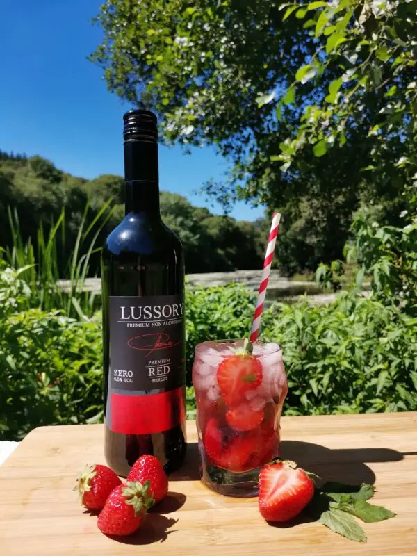 LUSSORY PREMIUM Red Merlot - Image 4